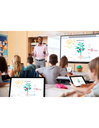 Pantalla plana interactiva Optoma 3753RK 4k Creative Touch Serie 3 de 75 pulgadas