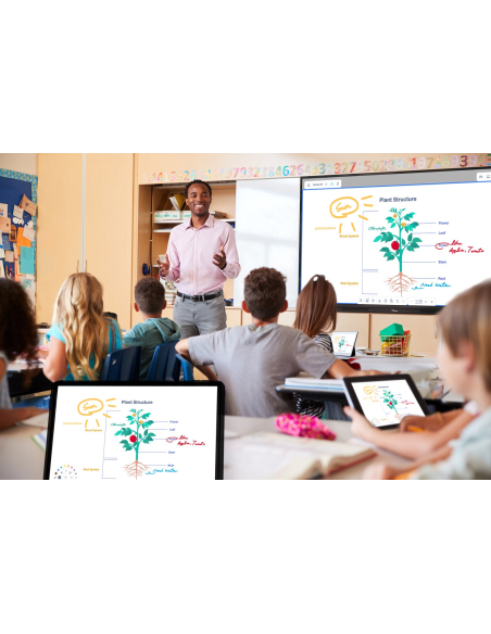 Pantalla plana interactiva Optoma 3863RK 4k Creative Touch Serie 3 de 86 pulgadas